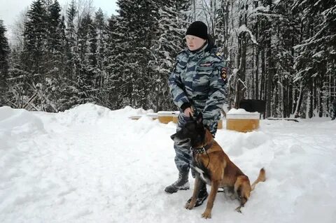 Кинолог пермь