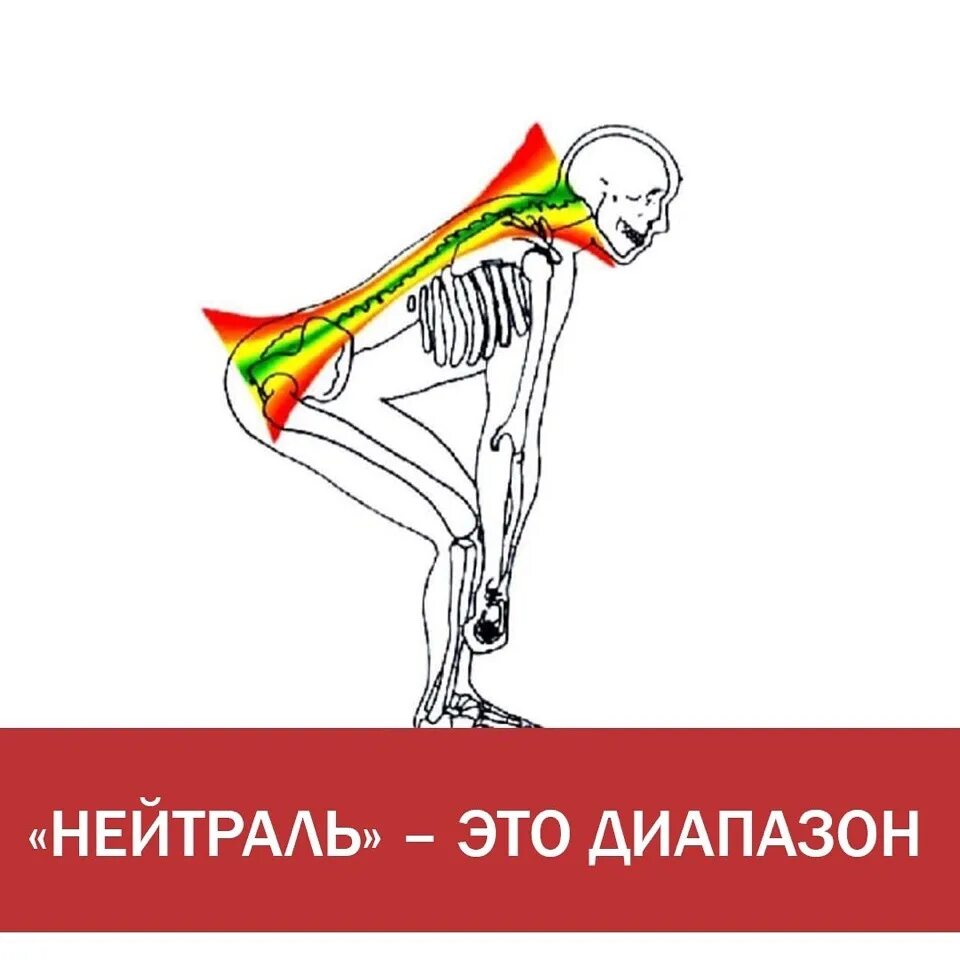 Нейтральное положение это. Нейтральное положение позвоночника. нейтральное положение поясницы. нейтральное положение позвоночника в упражнениях. концепция нейтрального положения позвоночника.