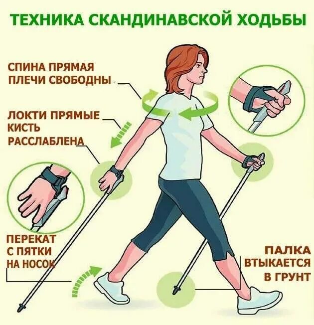 Скандинавская ходьба с палками техника ходьбы. Высота палок для скандинавской ходьбы. Палки для скандинавской ходьбы инструкция. Ходьба с палками. Ходьба со скандинавскими палками методика.