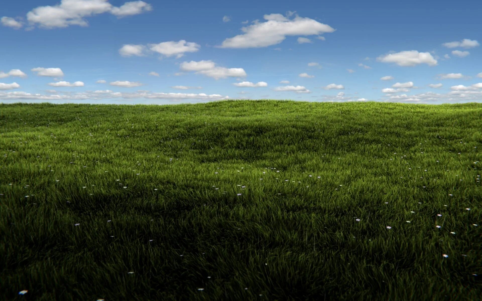 D field