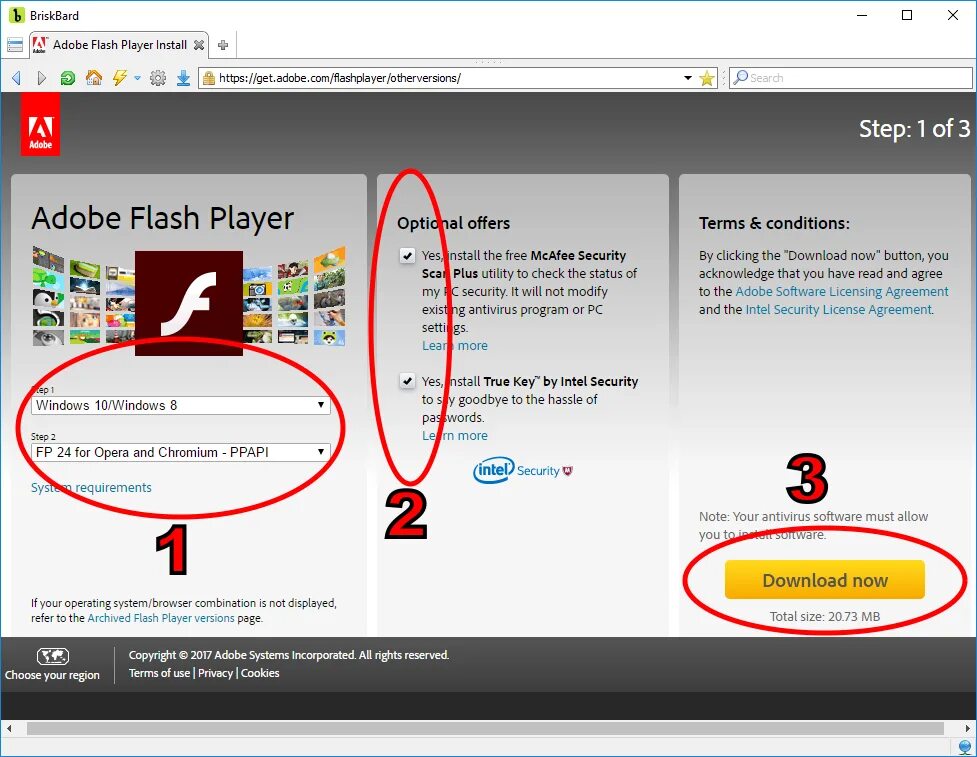 Последний adobe flash player. Adobe Flash Player. Адоб флеш плеер. Файлы Adobe Flash. Adobe Flash Player download.