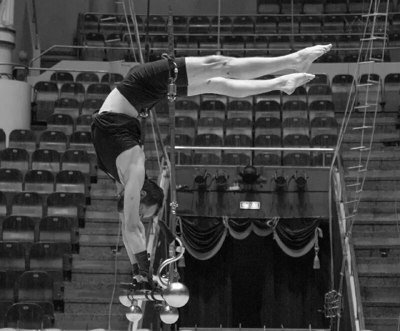 цирк шапито афиша. цирк шапито тольятти. цирк тольятти афиша. цирк шапито золотая арена. цирк барнаул.