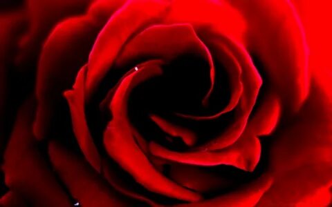 Red view