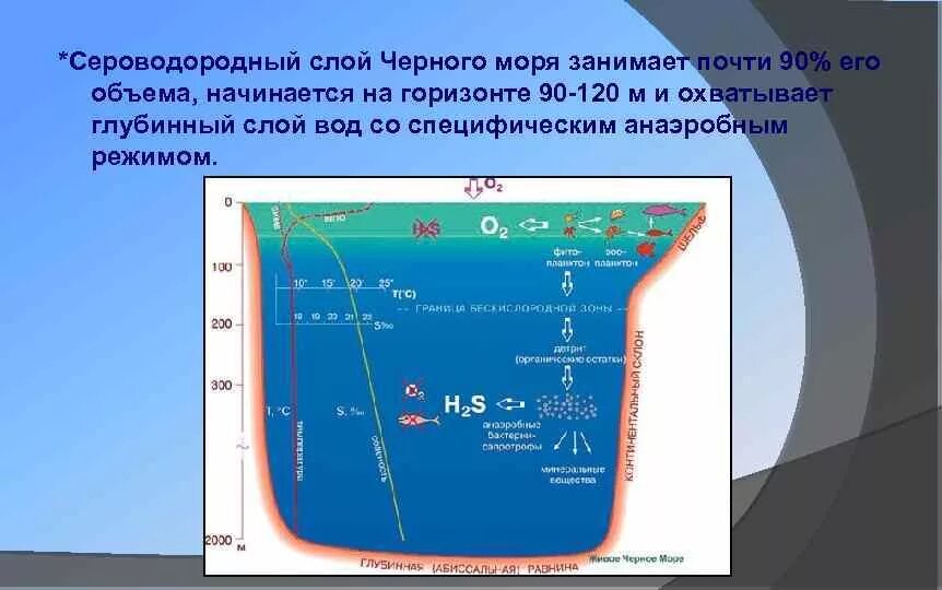 Определить сероводород в воде. Чёрное море сероводородный слой. Слои черного моря. Сероводород в черном море. Черное море слои воды.