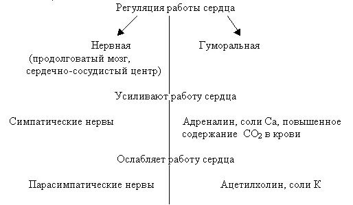 Рассмотри предложенную схему регуляция работы сердца Картинки РЕГУЛЯЦИЯ СЕРДЕЧНОЙ ДЕЯТЕЛЬНОСТИ НЕРВНАЯ ГУМОРАЛЬНАЯ