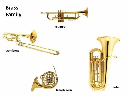 Brass family
