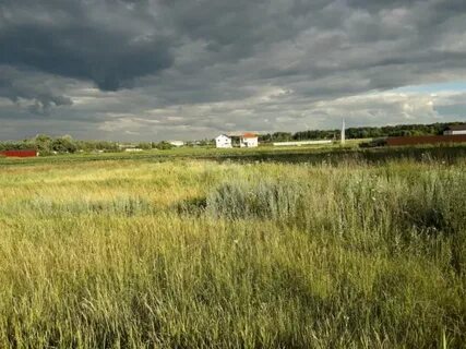 Погода дичня курская область