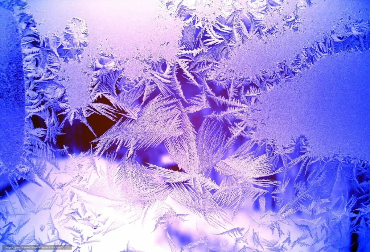 Холод зимой. Рассвет зимой. Человек в снегу. Иней на стекле. Морозная стужа.