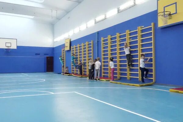 Спортзал камчатка. Power hls club томск. Спортзал петропавловск-камчатский. Атлет зал варяг петропавловск камчатский. Дворец спорта петропавловск-камчатский спортзал.