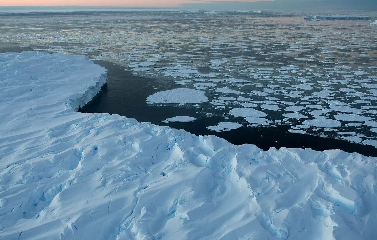 Океан покрытый льдом. Полыньи в Северном Ледовитом океане. Ледяной Покров Северного Ледовитого океана. Северный Ледовитый океан и Антарктида. Ранний ледяной Покров и припай.