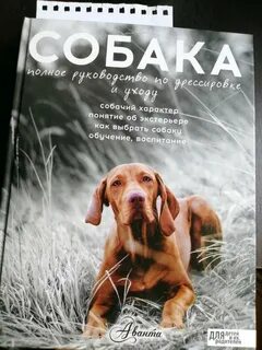 Книга псы