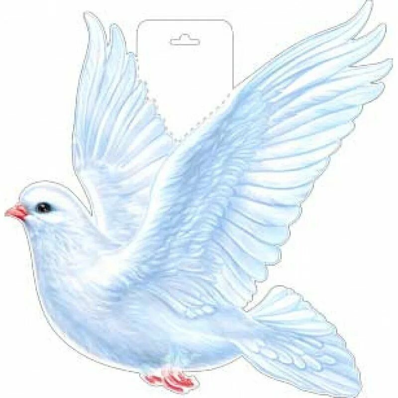 Голубь рисунок. Картинка голубок. Белая птица. Картинка голубок. Картинка голубок.