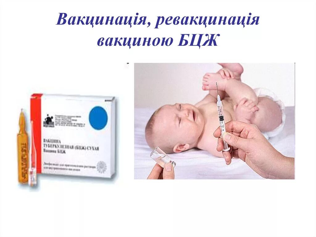 Вакцина бцж 1. Вакцина БЦЖ. Вакцина БЦЖ-М.