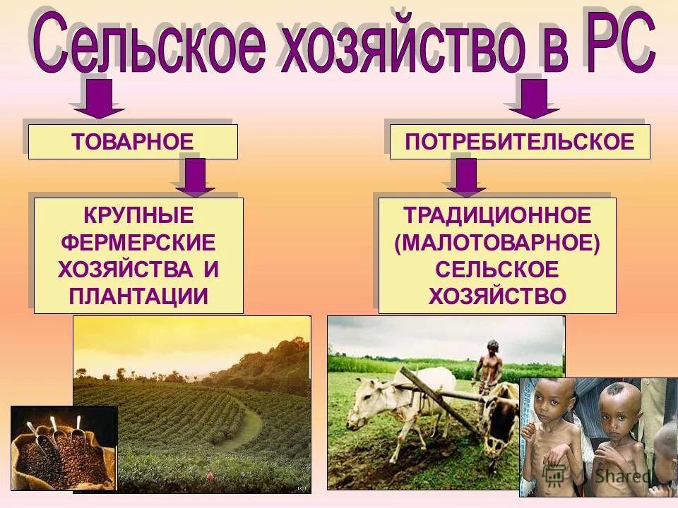 среднеевропейский тип сельского хозяйства.