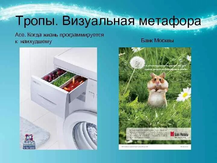 Привести 5 примеров метафоры