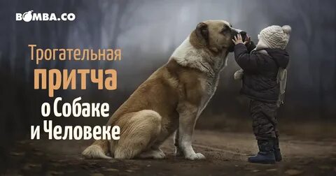 Притча про собаку