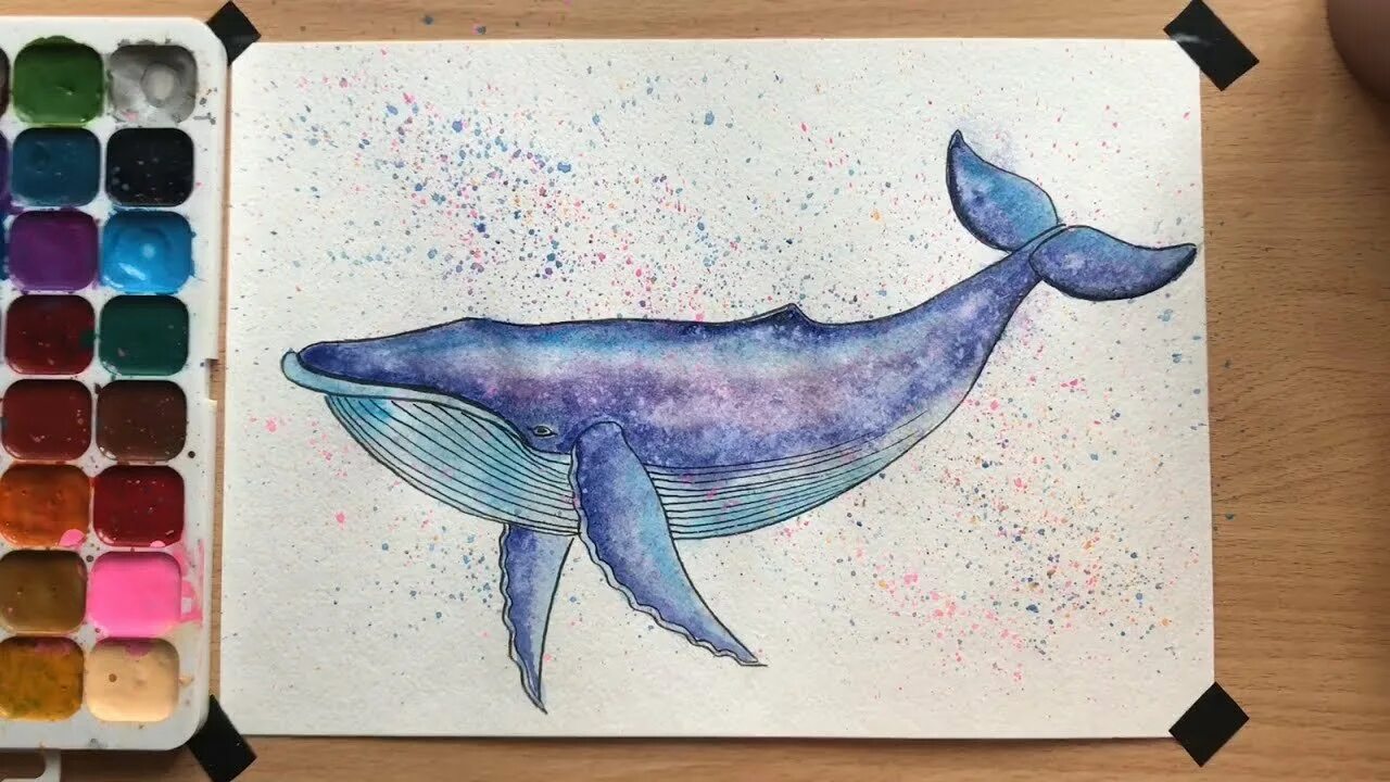 Нарисовать кита красками. Кит рисунок. Кит акварелью. Кит красками для детей. Нарисовать кита красками.
