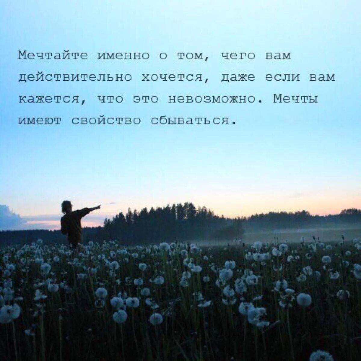 Мечта фразы цитаты. Высказывания о мечте. цитаты про мечты. фразы про мечты. афоризмы про мечты и желания.
