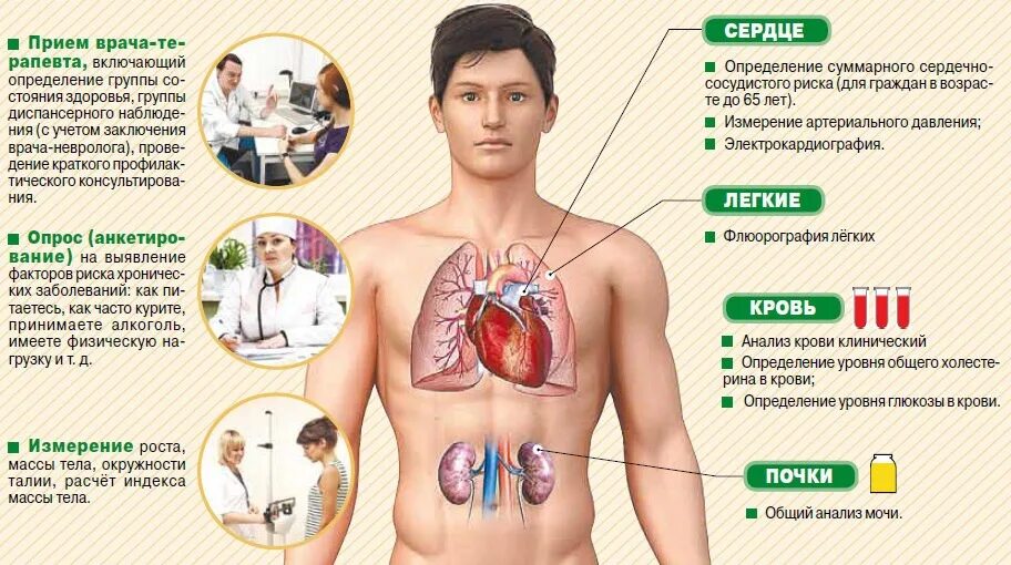 Где проверяют легкие. Диспансеризация инфографика. Проверить весь организм. Заболевания всех органов.