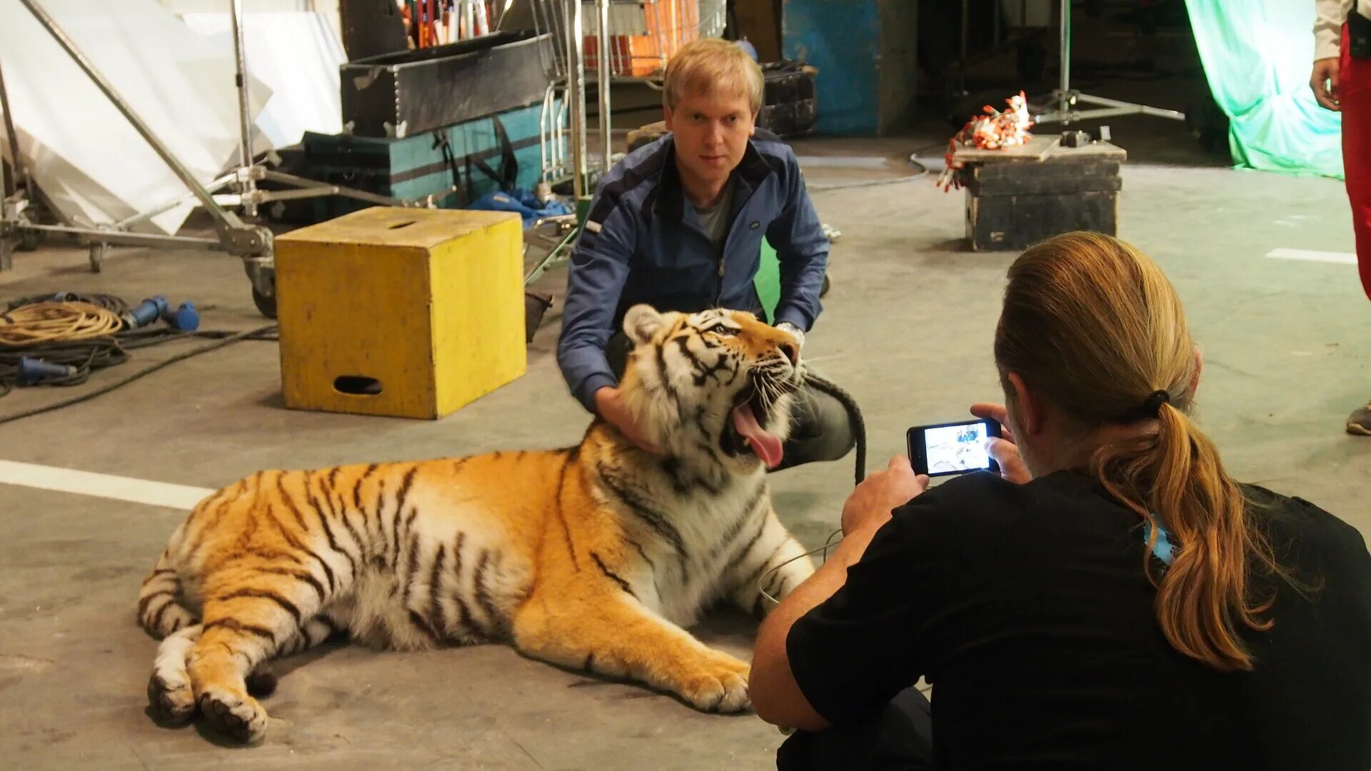 тигр 2014. тигр 2014. тигр китай. след тигра 2014. тигр 2014.