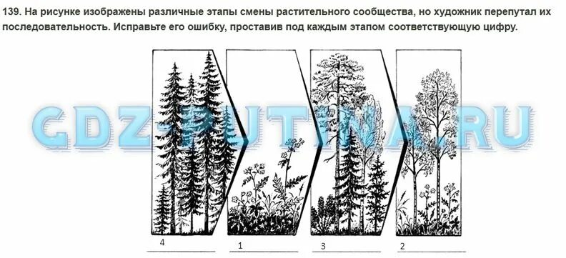 Растительные сообщества 7 класс тест с ответами. Смена растительных сообществ рисунок. Последовательность смены растительных сообществ. На рисунке изображены этапы смены растительного сообщества. Изобразить на рисунке различные.