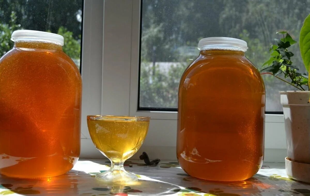 Купить мед 3 литровая банка. Мед в банках. Майский мед. Мед 3 литра. Мед в 3 литровой банке.