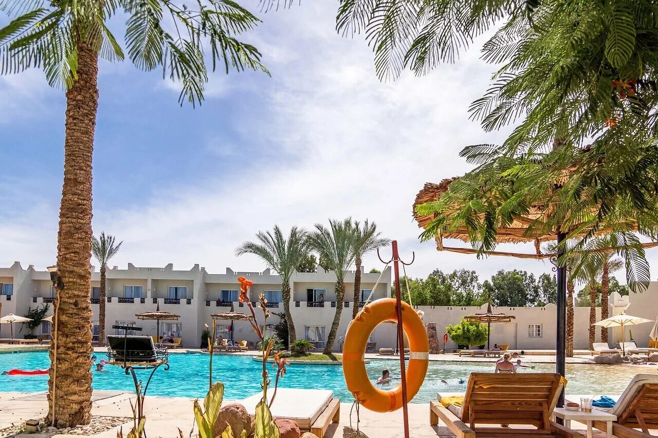 Риф Оазис Шарм-Эль-Шейх. Оазис Резорт Бич. Египет Reef Oasis Beach Resort. Отель Reef Oasis Beach Resort 5.