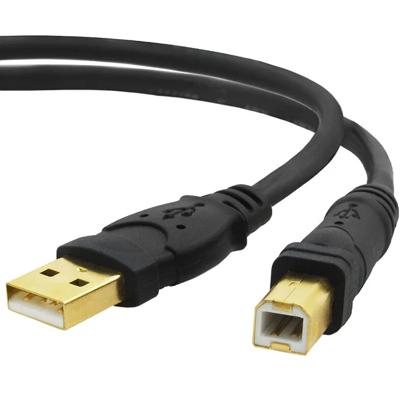 Купим кабель b. USB 1.1 И USB 2.0. Кабель USB 2.0 A-B. Кабель USB 1.1. Провод USB 2.0B.