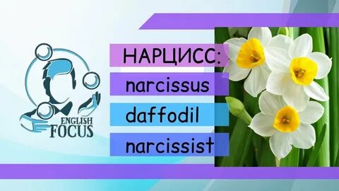 Тест на нарцисса