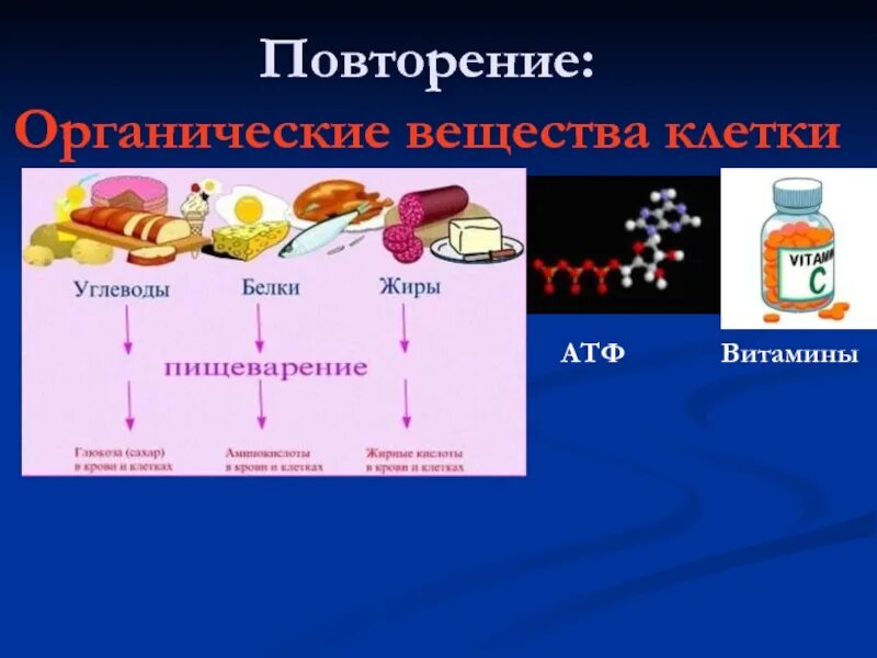 АТФ витамины. Органические вещества АТФ. Органические соединения клетки. АТФ это биополимер. Биополимеры крови