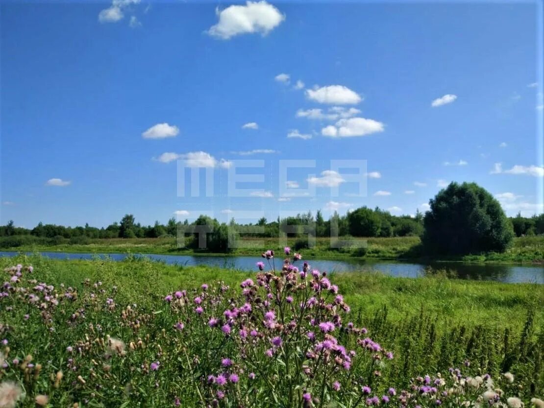 рыболово бронницы