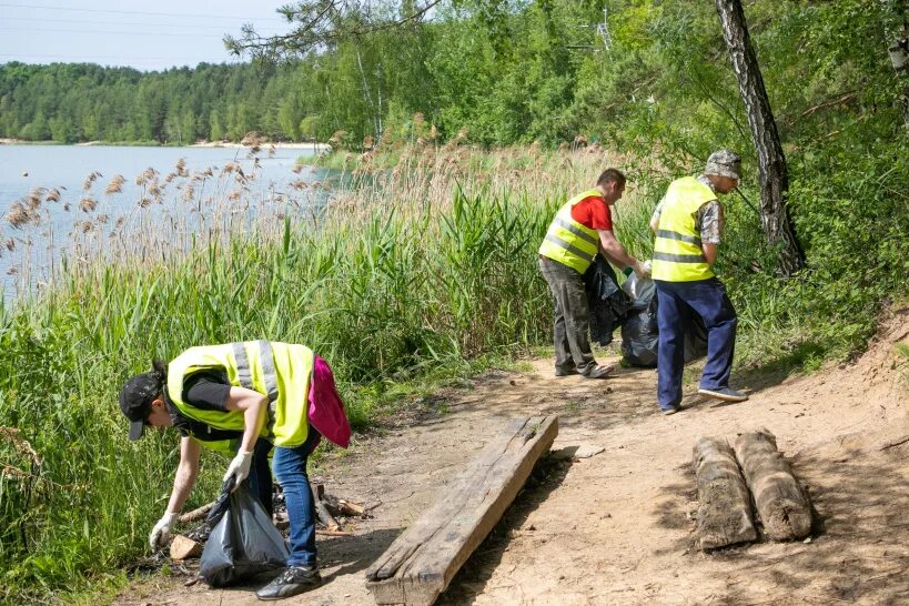 лес лыткарино (томилинский лесопарк) лыткарино. лесопарк лыткарино алексеев вячеслав львович. благоустройство лыткаринского лесопарка. томилинский лесопарк дзержинский. лыткаринский лесопарк.