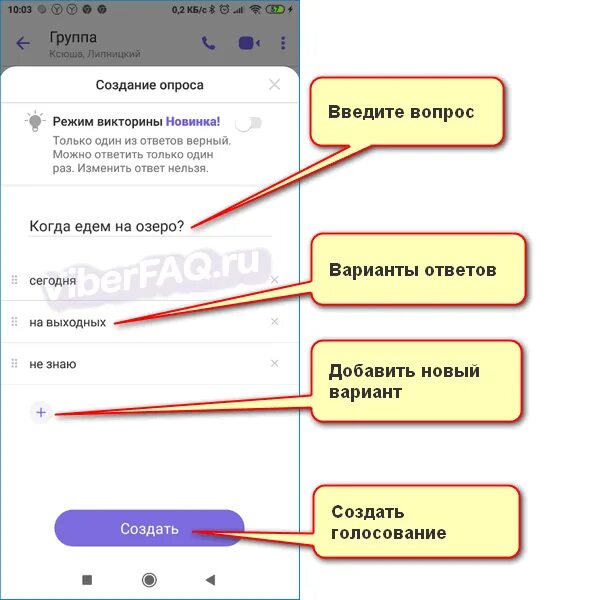 Голосовалка в вайбере. Как провести голосование в вайбере. Как сделать опрос в вайбере.