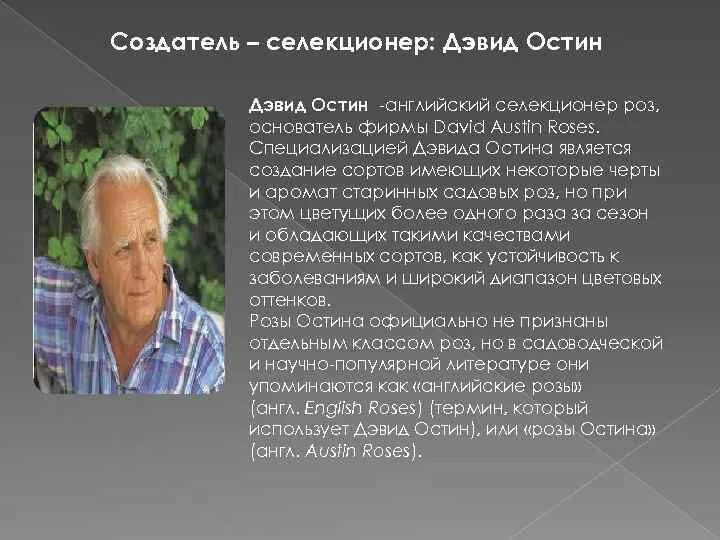 Ай эм грейтфул флорибунда. Остин селекционер роз. Дэвид остин селекционер. Создатель розы. Джоаккино пассини художник.