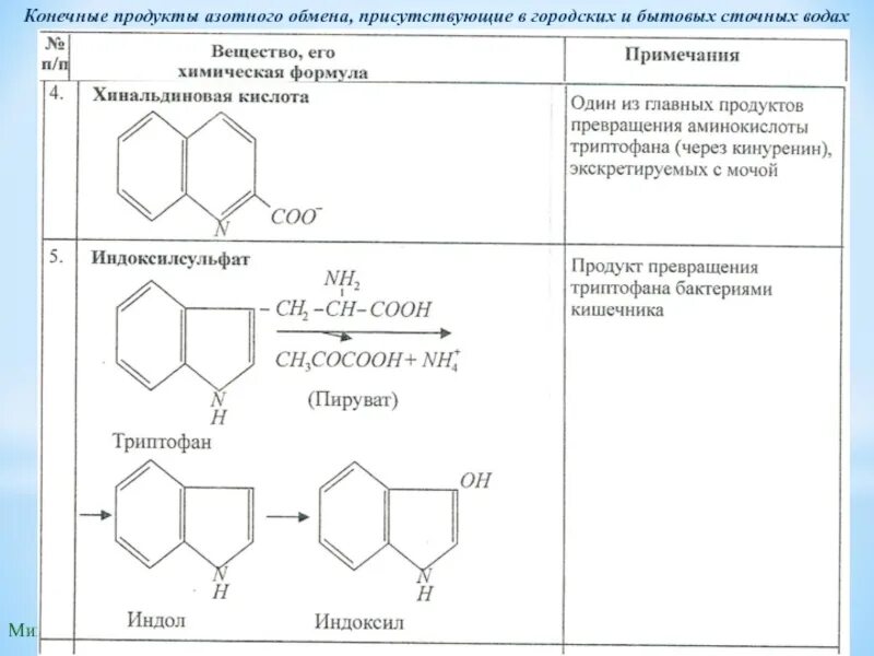 Основной конечный продукт азотистого обмена. Конечные продукты азотистого обмена. Конечные продукты азотистого обмена у человека. Конечные продукты азотистого обмена у животных. Конечные продукты обмена азота.