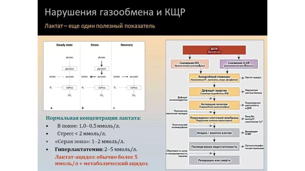 Лактатом является