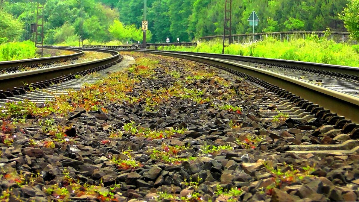 Все кругом быстро чернело. Рельсовый (Железнодорожный узкоколейный).. Рельсы. Рельсы железнодорожные. Ж/Д рельсы.