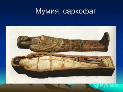 Мумия это 5 класс кратко