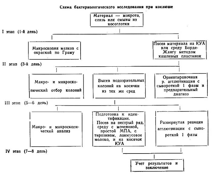 Схема лабораторной диагностики коклюша. Микробиологическая диагностика коклюша и паракоклюша. Лабораторная диагностика коклюша микробиология. Схема исследования на коклюш.