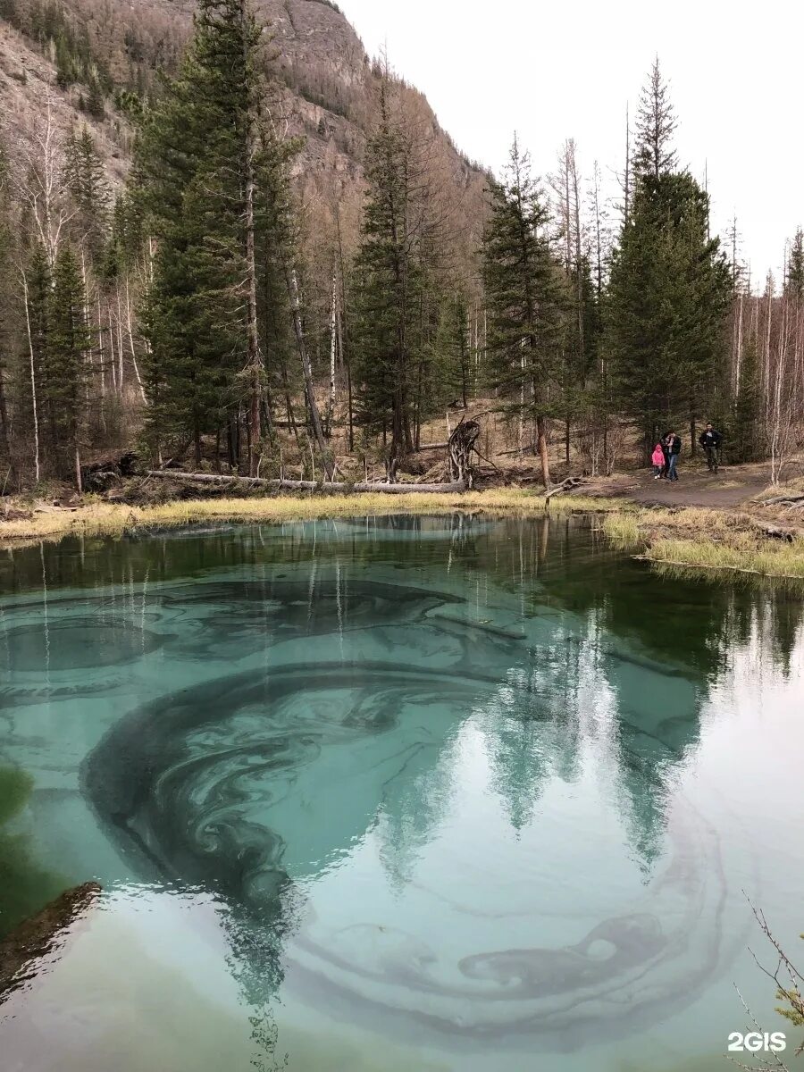 Горно алтайск озерное. Горно Алтайск озеро. Гейзеровое озеро горный Алтай. Гейзеровые озера Улаган. Гейзеровое озеро Камчатка.