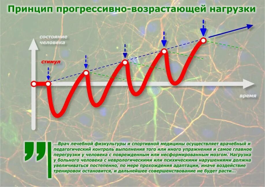 Принцип адаптированного сбалансирования динамики нагрузок. Принцип прогрессивной нагрузки в силовых тренировках. принципы тренировочной нагрузки. прогрессия нагрузок в тренировках. принцип адаптивного сбалансирования динамики нагрузок.