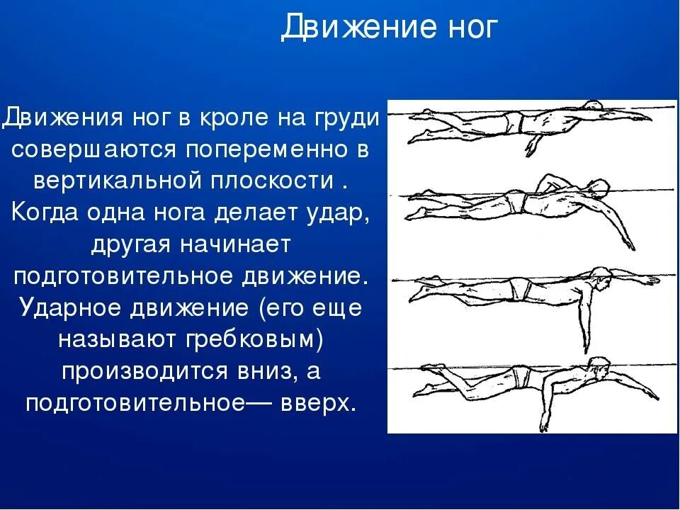 Методика обучения кролю. Техника плавания «кролем» движение ног. Движение ног при плавании кролем на груди. Фазы движений ног в плавании Кроль. Стиль плавания Кроль на спине брасс.