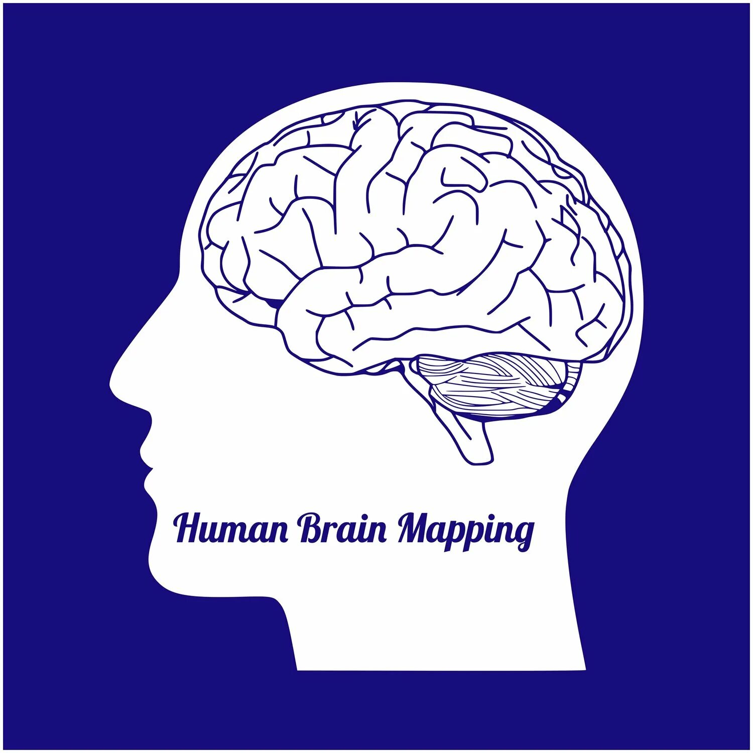 Карта мозга. Мозг человека карточка. Брейн карта. Подробная карта мозга. Brain карта