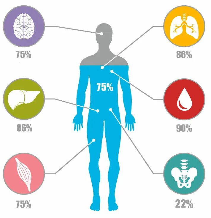 Сколько жидкостей в организме. Вода в организме человека. Вода и человек. Организм человека состоит из воды. Вода в человеческом организме.