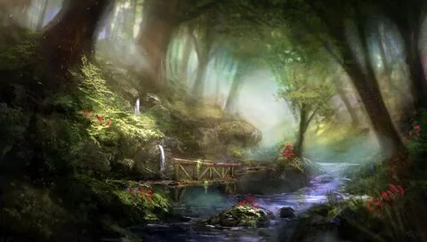 Forest name
