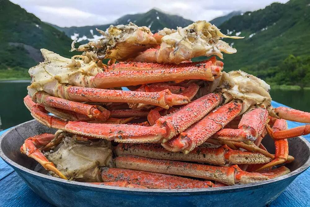 Краб можно в пост. Краб Камчатский. Камчатский краб дальнего Востока. Камчатский краб Сахалин. Морские деликатесы Камчатки и дальнего Востока.