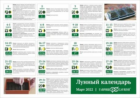 Посев помидор в марте 2023 на рассаду