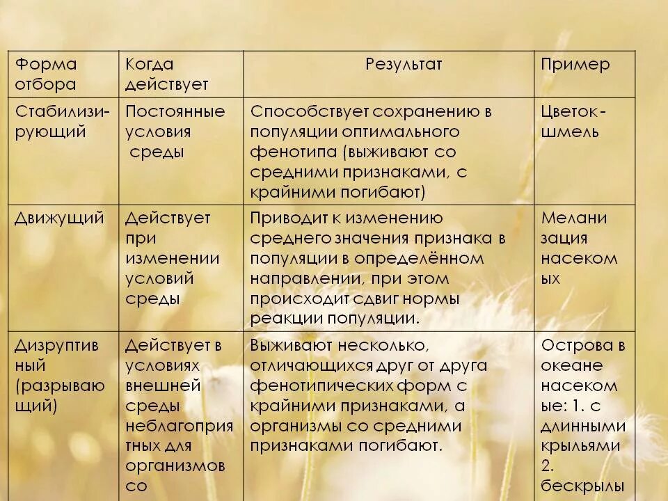 Таблица формы естественного отбора форма характеристика примеры. Формы естественного отбора таблица 11 биология. Формы естественного отбора таблица с примерами. Естественный отбор таблица по биологии 11 класс. Тест по биологии естественный отбор 9 класс