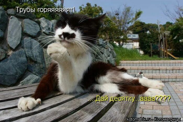 я тебя (не) прощу. чирик лох. лизни пятку дам десятку. нюхни пятку. найдëца всë.