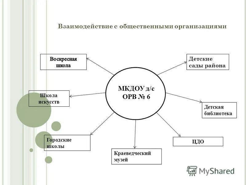 Модель общественной организации